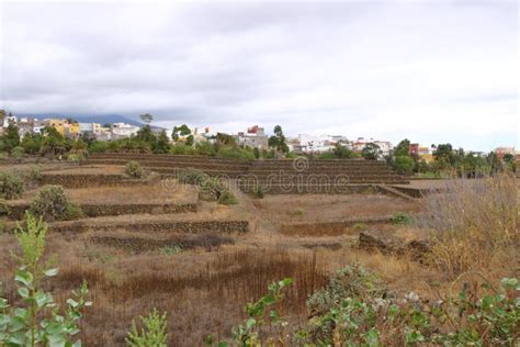 Ancient Guanche Guimar Pyramids In Tenerife Island Stock Image Image