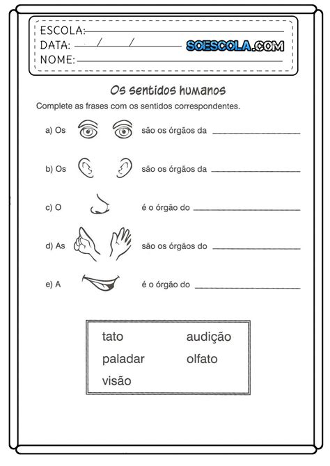 Atividades De Ciências 4 Ano Para Imprimir Folha 02 Educação E