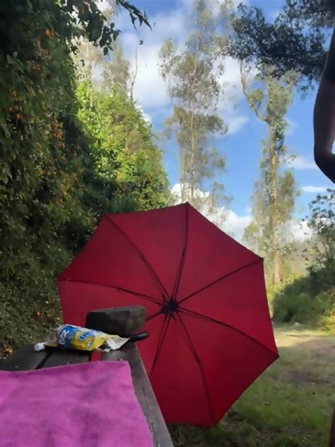 Milf Masturbating Public