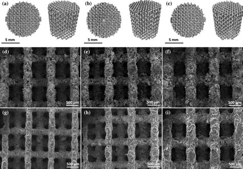 Microstructure Of The Porous Zinc Materials Produced By Pbf Technique Download Scientific