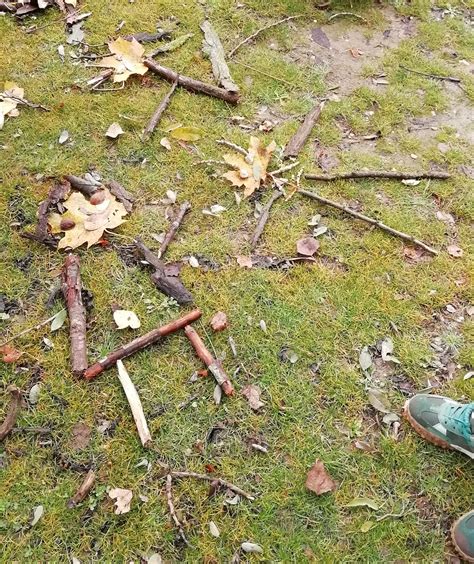 Land Art Au Parc Naturel Du P Tis Cpie Des Boucles De La Marne