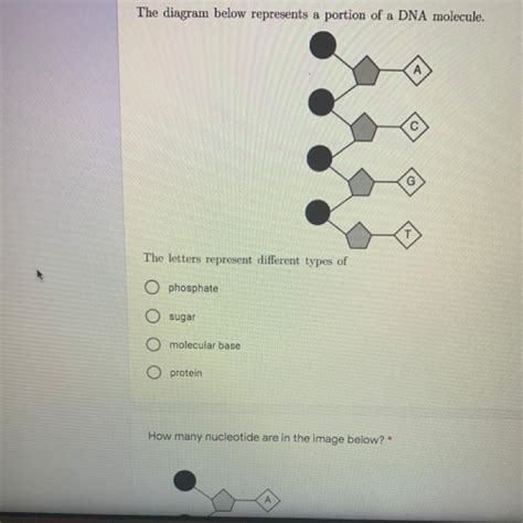 Answer The Question In The Image Below The Diagram Below Represents A