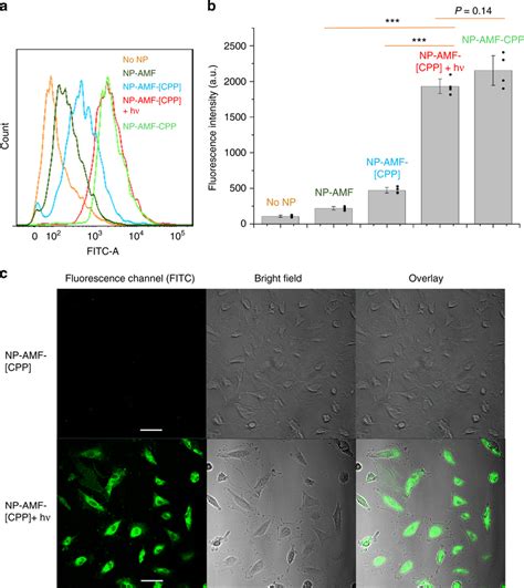 Light Triggered Cell Uptake Of Nanoparticles A Representative Flow