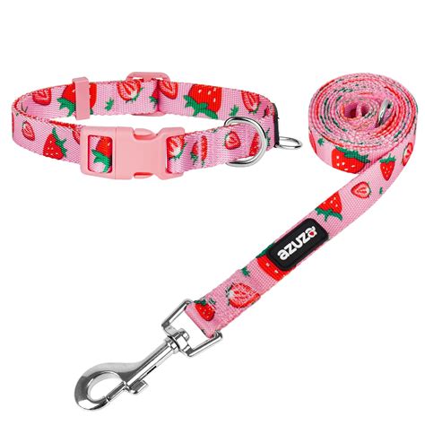 Dog Collar And Leash Set