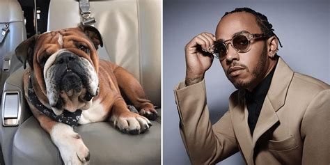 Lewis Hamilton Says His Dog Roscoe Is Now ‘fully Vegan And ‘super