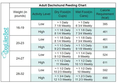 Dachshund Feeding Chart How Much To Feed Doglikesbest