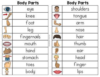 Which Category Best Fits the Words in List 1