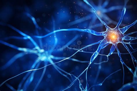 Motor Neuron Under Magnification In A Microscope In The Lab Nerve Cells Stock Illustration