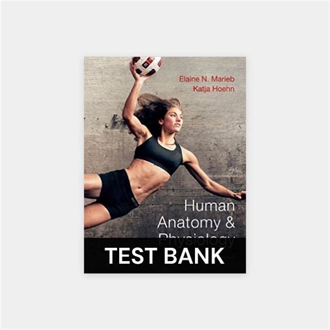 Human Anatomy Physiology 9th Edition Marieb Hoehn Test Bank