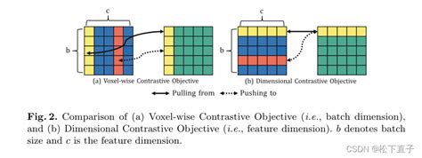 用于半监督体积医学图像分割的动量对比体素表示学习 momentum contrastive voxel wise representation