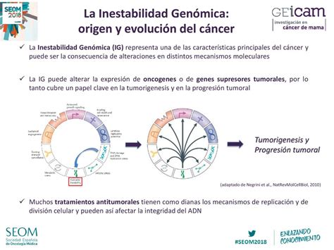 MODULACIÓN DINAMICA DE LA INESTABILIDAD GENÓMICA POR TERAPIA