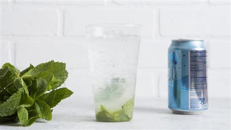 Basic Mojito Ingredients Recipe - Food.com | Recipe in 2022 | Mojito ...