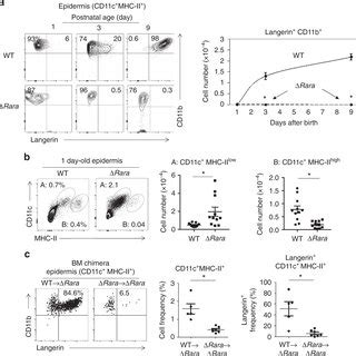 LC development requires RARα a Frequency of langerin cells in the