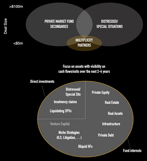 Liquidity Solutions Multiplicity Partners