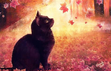 Autumn Cat Wallpapers - Top Free Autumn Cat Backgrounds - WallpaperAccess