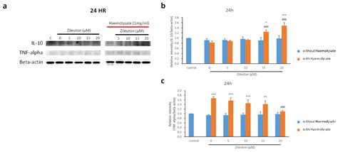 Ijms Free Full Text Zileuton A 5 Lipoxygenase Inhibitor