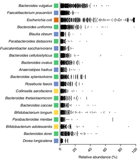 Dominant Bacterial Species Within The Human Gastrointestinal