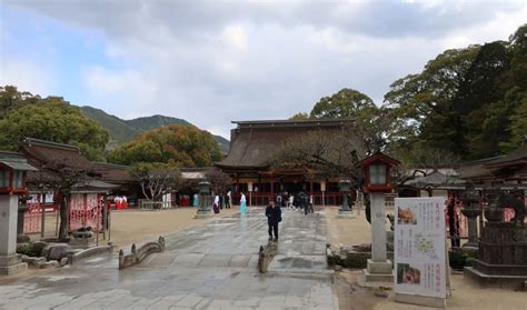 Admiring the Temples in Fukuoka - Up in the Nusair