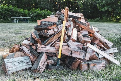 How To Avoid Termites In Firewood And How To Remove Them Awesome Axes