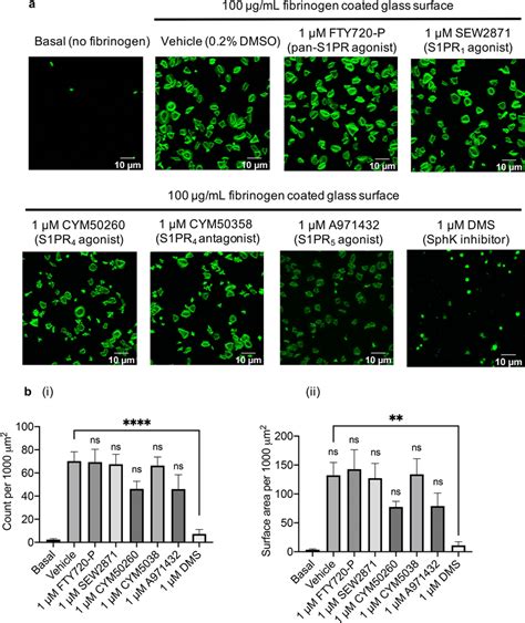 Platelet Spreading On Fibrinogen Is Inhibited By S1pr4 And S1pr5