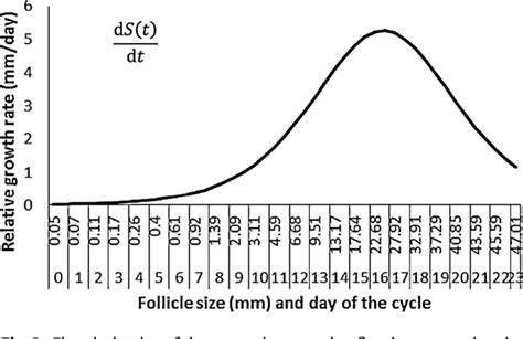 Figure From Evaluation Of Growth Models For Follicle Development And