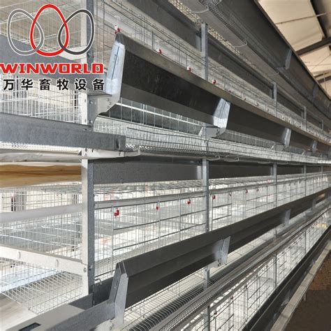 H Type Fully Automatic Layer Cage Equipment With Chicken House