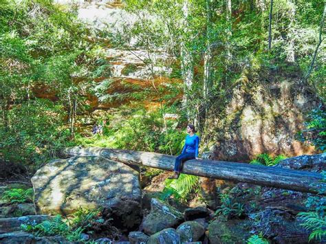 The Blue Mountains Grand Canyon Loop Walking Track ⋆ Brooke Beyond