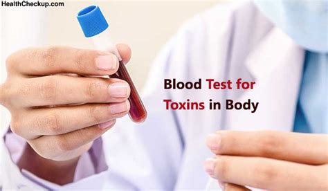 Blood Test For Toxins In Body How To Test Toxins In The Body