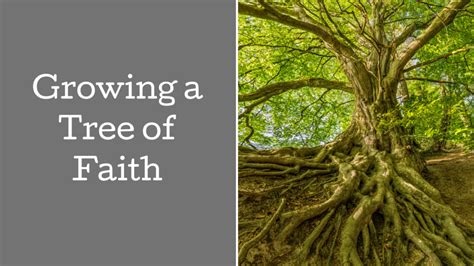 Growing A Tree Of Faith Hope Through Hard Times