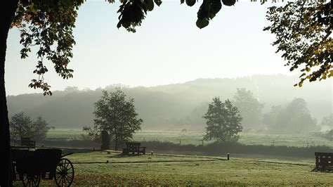 Free Images Landscape Tree Nature Forest Grass Dew Fog Sunset