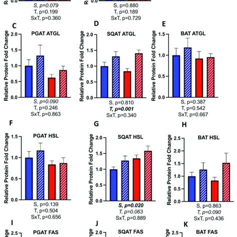 Male M And Female F C57bl 6j Mice All On Hfd Were Given Daily Cl Download Scientific