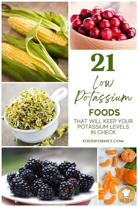 21 Low Potassium Foods That Will Keep Your Potassium Levels In Check Food For Net