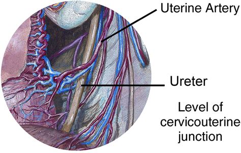 The Core Of A Competent Surgeon A Working Knowledge Of Surgical