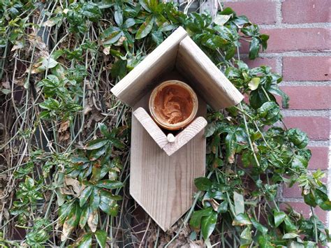 Vogelhuisje Zelf Maken DIY Hout Bestel Je Pakket