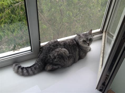 Фейринг YAKIMA.своими руками — Lada 21124, 1,6 л, 2007 года ...