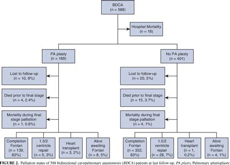 Figure From Surgical Pulmonary Arterioplasty At Bidirectional