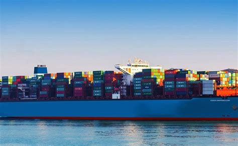 Professional Sea Freight Shipping From China To The Middle East Kuwait