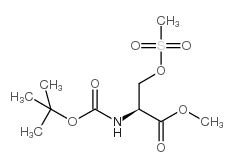 Cas Methyln Tert Butoxycarbonyl O