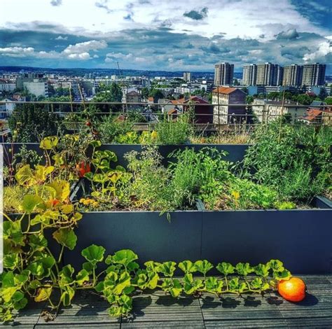 Carr S Potagers Conseils Pour D Buter Un Potager Urbain