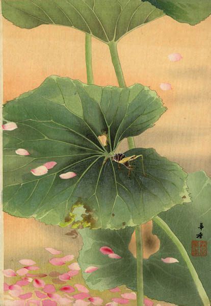 Bush Cricket With Falling Blossoms By Kako Tsuji