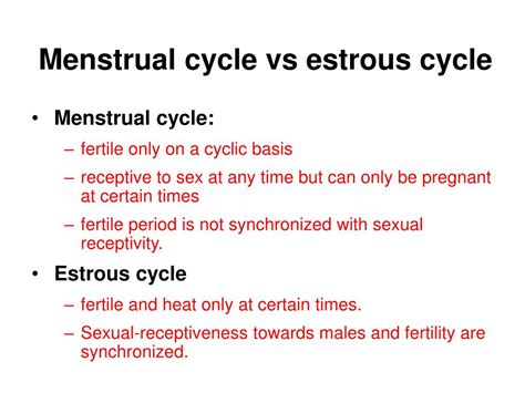 Ppt The Menstrual Cycle Powerpoint Presentation Free Download Id