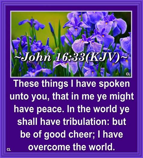 Image Result For John 1633 Kjv Bible Verses Kjv King James Bible