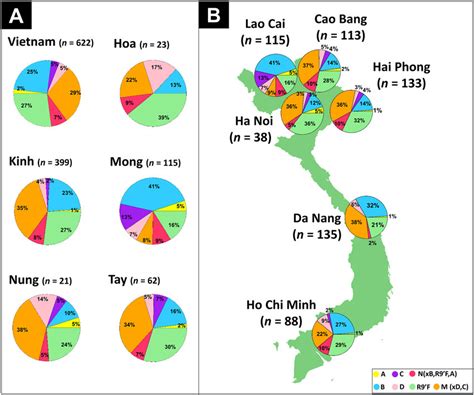 (A) Frequencies of main haplogroup and sub-haplogroups by ethnic ...