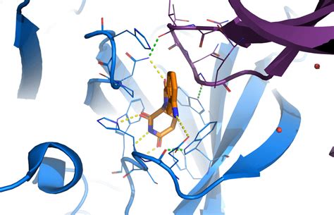 Molecular Glues Sygnature Discovery