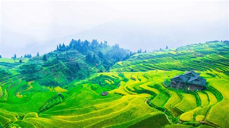 Top 9 Terraced Rice Fields in China, The Most Beautiful Terrace Fields