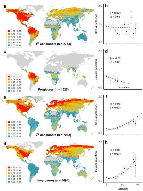 Global Distribution Of Sexual Selection Partitioned By Trophic Level