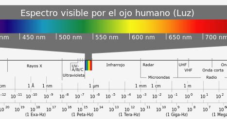 Leer Plano Roble Espectro Visible Para El Ojo Humano Ignorar Grueso