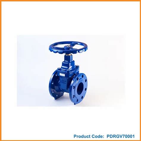 Cast Iron Gate Valve End Connection Flanged At Best Price In