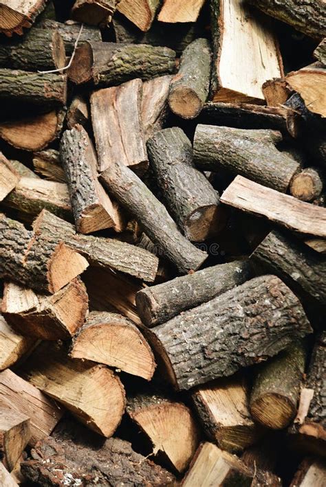 Stacked Oak Firewood Perspective Stock Image Image Of Energy Country