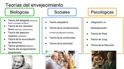 Teorias Del Envejecimiento Ppt